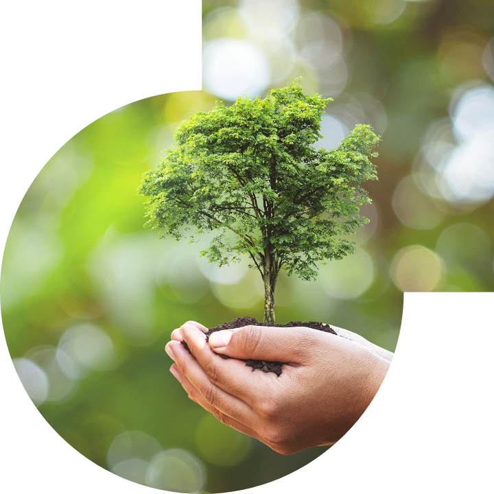 关怀人类、文化、环境与社会